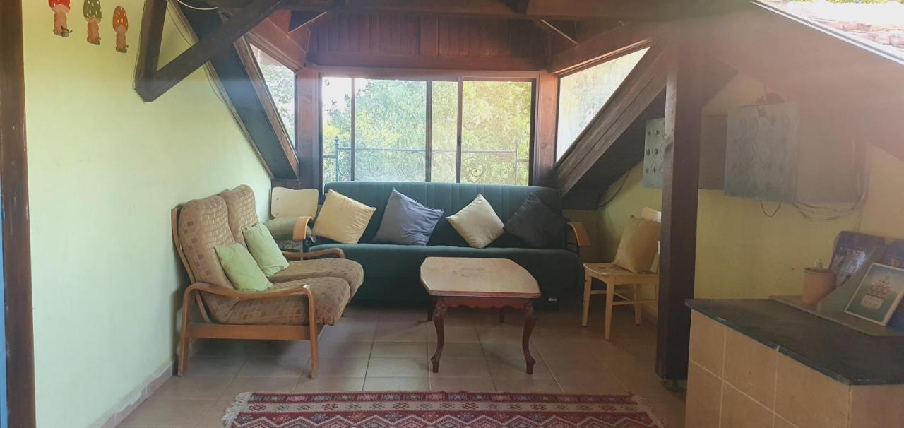 Villa Brush And Wind à Hagoshrim Extérieur photo