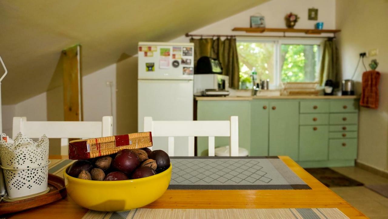 Villa Brush And Wind à Hagoshrim Extérieur photo